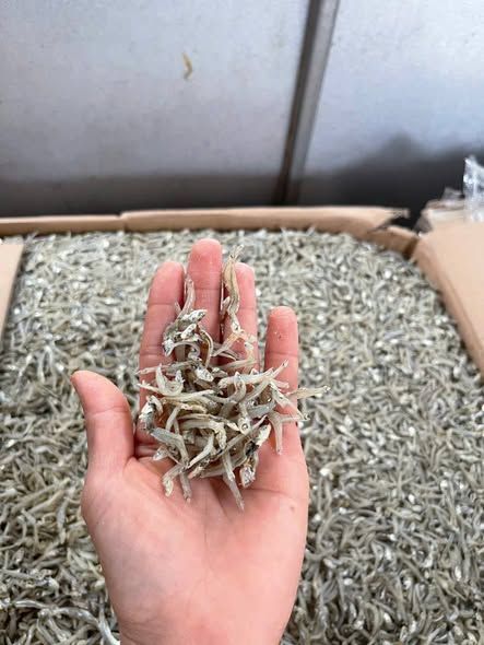 Cá mờm khô (cá cơm sữa)