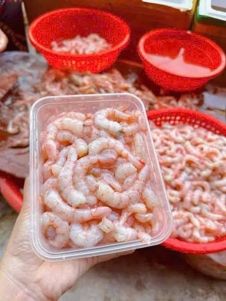 Nõn tôm sắt biển
