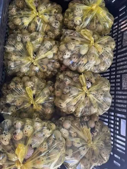 Trứng cút lộn